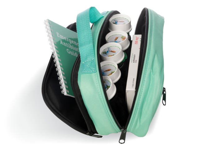 UseCase: Go